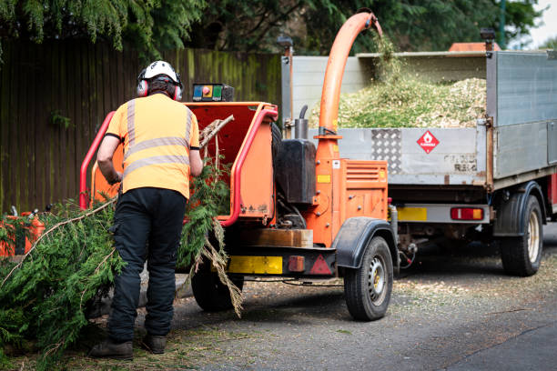 Best Lawn Irrigation Installation and Maintenance  in St Hedwig, TX