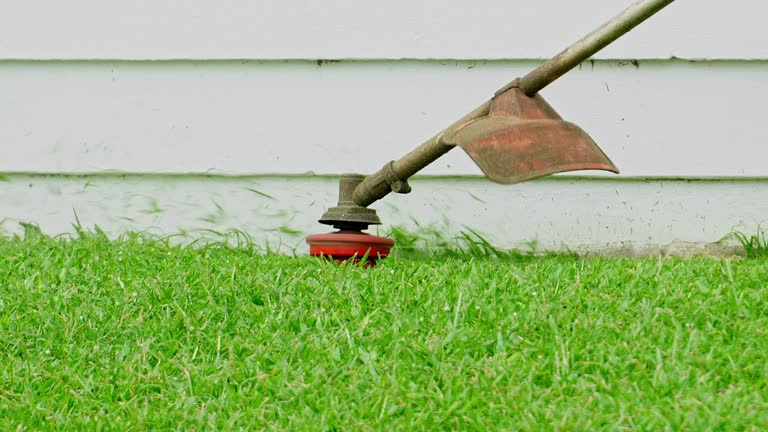 Lawn Grading and Leveling in St Hedwig, TX